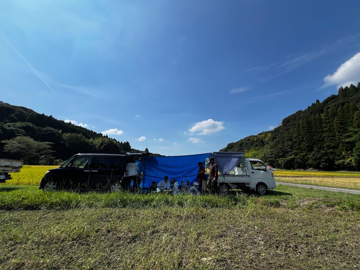 米作りカレンダー｜鹿児島の農家が1年の作業を月別にまとめました