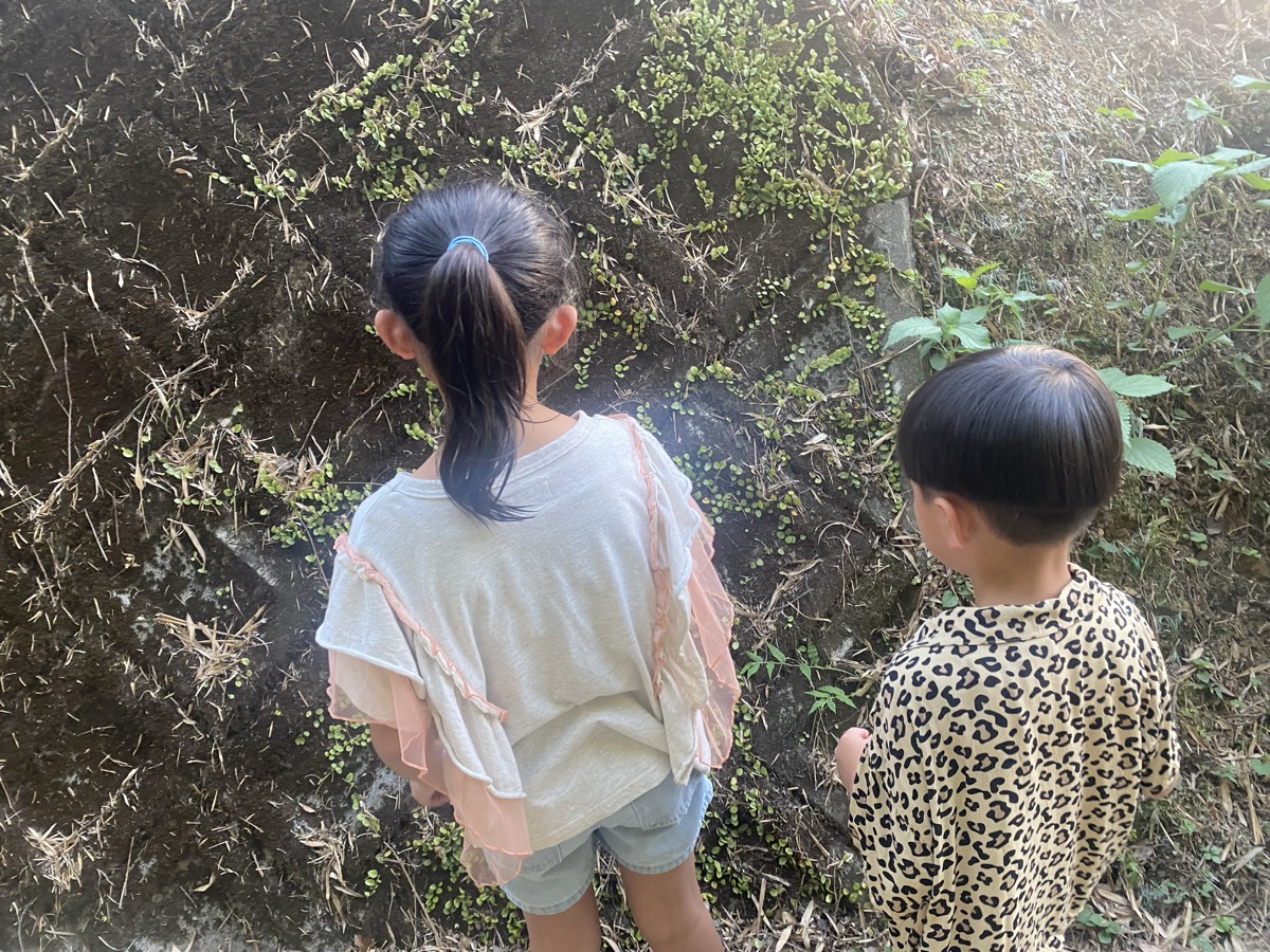 石垣を見つめる子どもたち