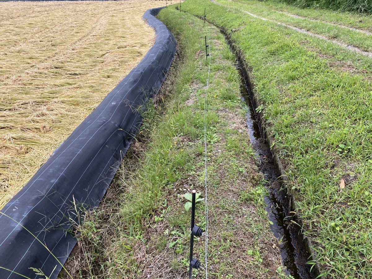 撤去中の畦道