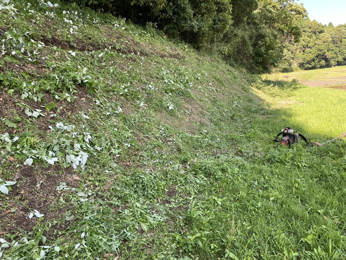 草刈り完了