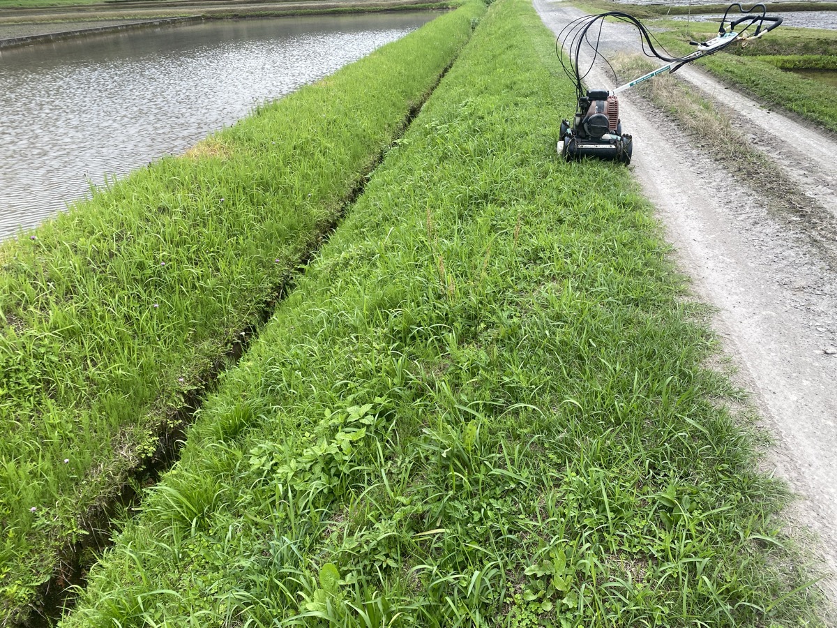 秘密兵器・SPIDER MOWERで法面草刈りが楽ちんすぎる