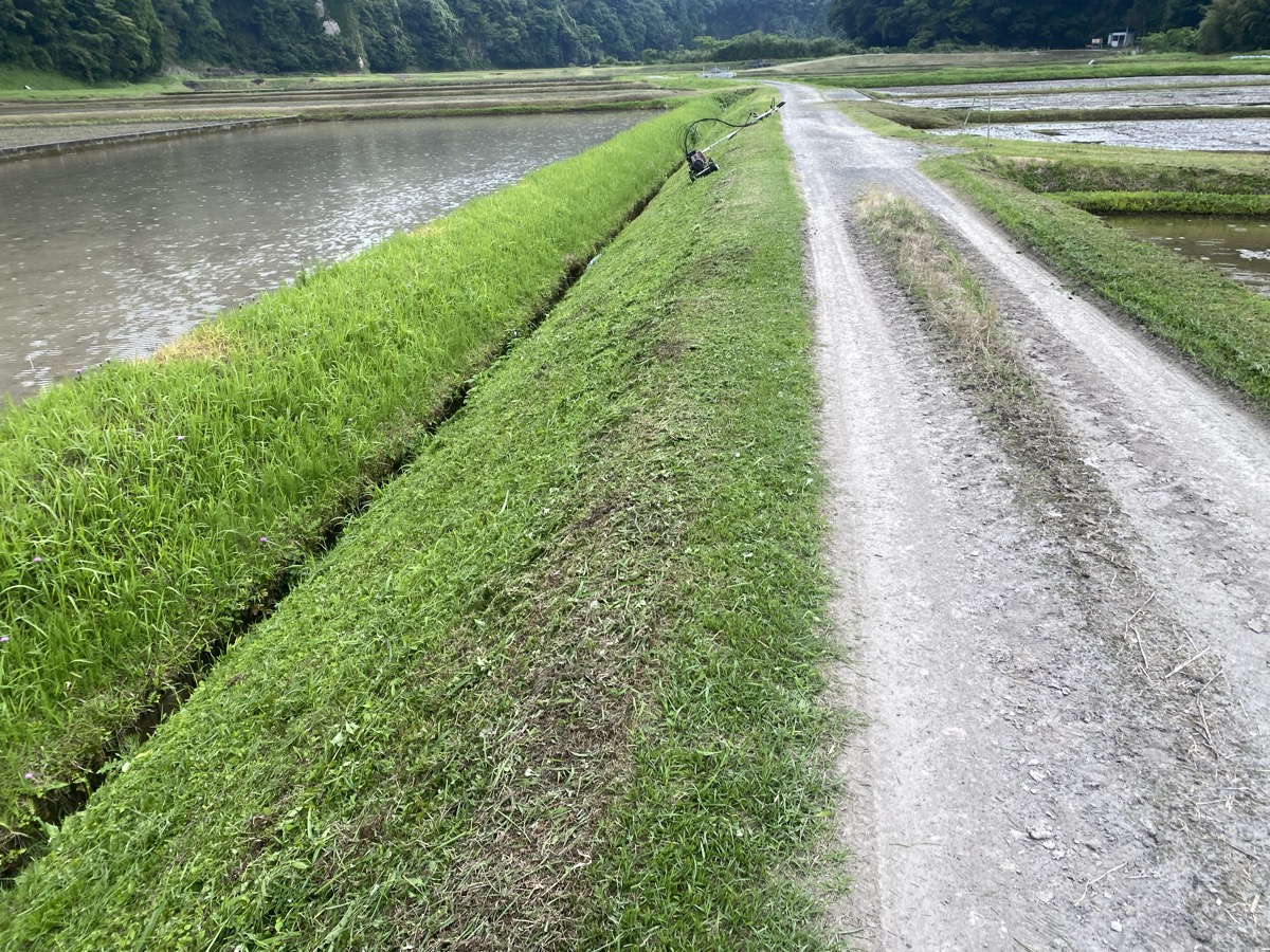 刈り終わった法面