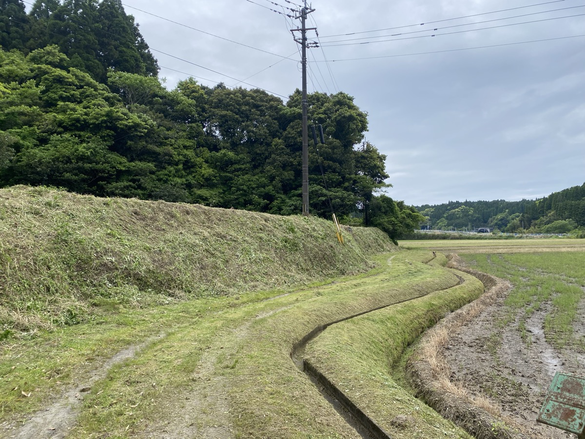 草刈り後の田んぼ