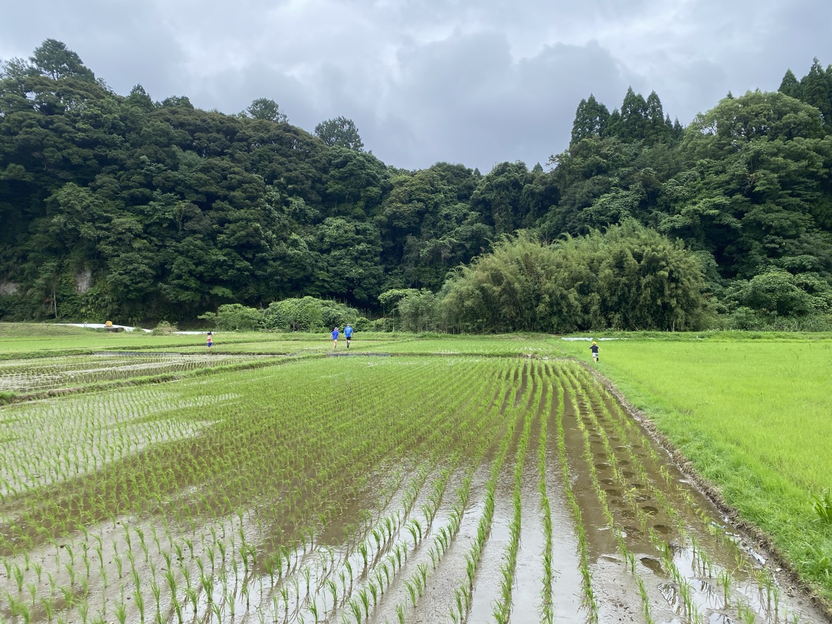 6/20 秋の舞の田植え完了——まさかの1列植え忘れ事件！？