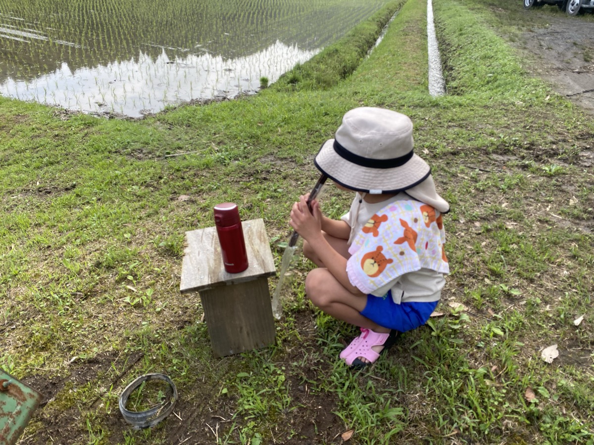 田んぼのあぜで朝ごはん