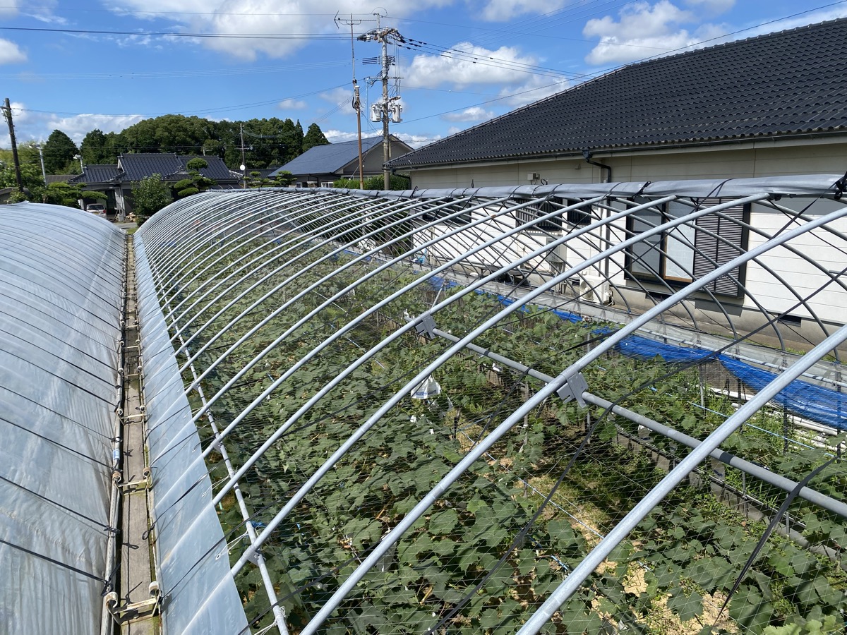 棟の上から見た景色