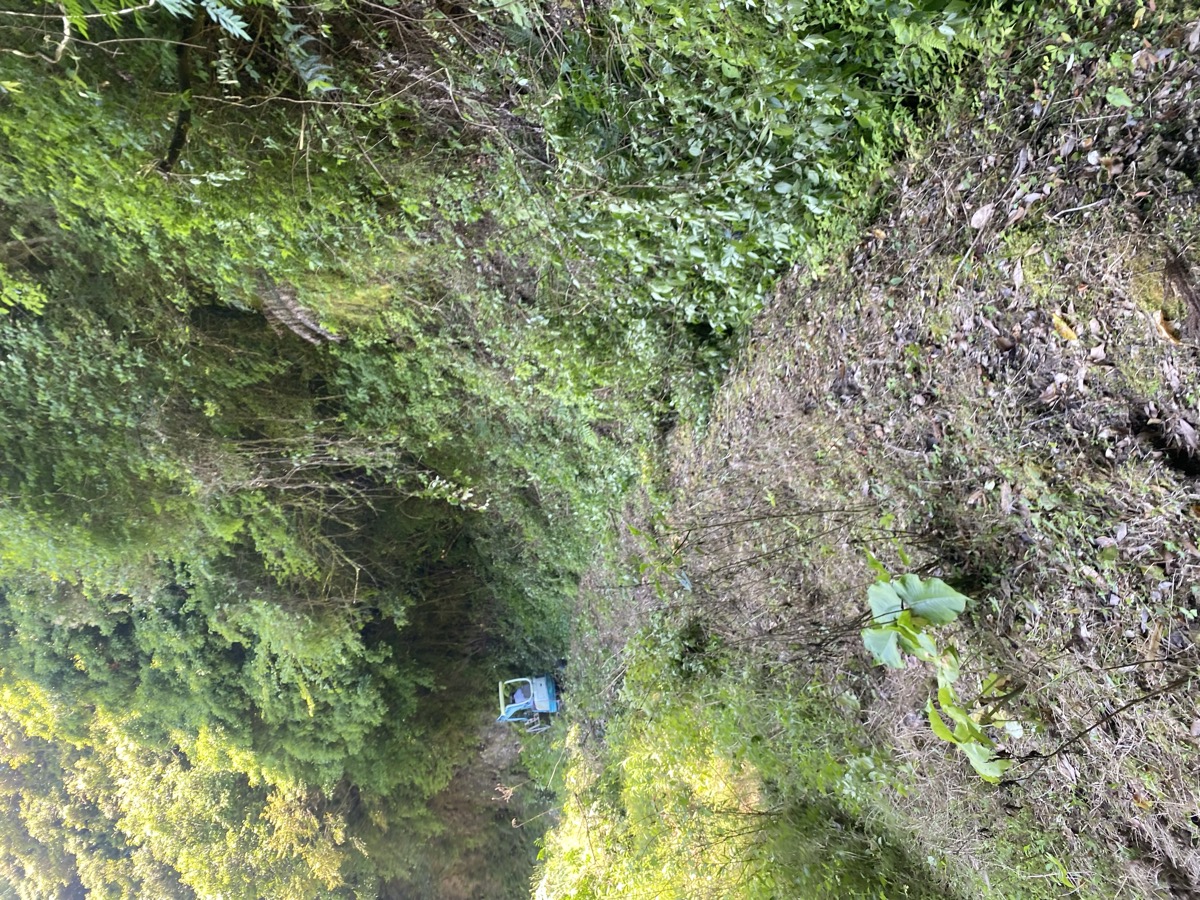 作業後の法面